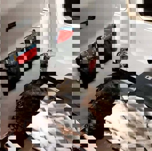 A turkey sits on an airplane seat next to a safety card that reads "Be Safe".