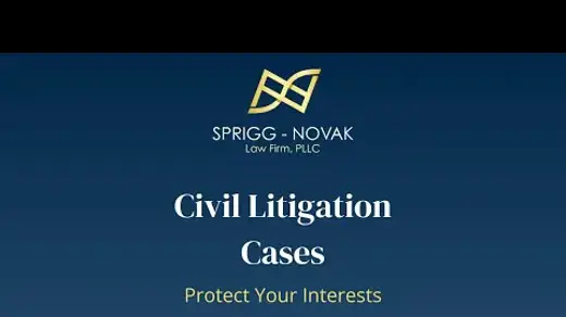 Civil Litigation Cases